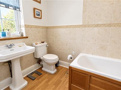 Picture 19